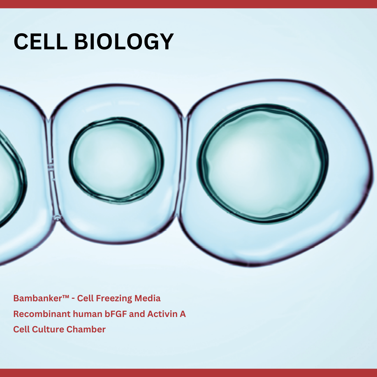 Cell biology, Bambanker, cryopreservation media