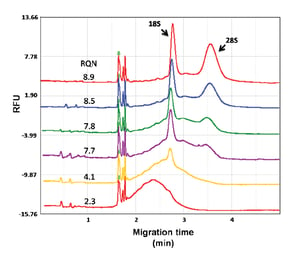 Qsep-NGS-Pub-Figure4