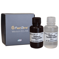 fg-ch01-fastgene-western-ecl-kit-bottles-and-package