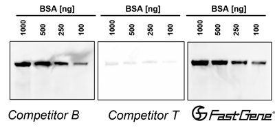 western ECL kit _competitor